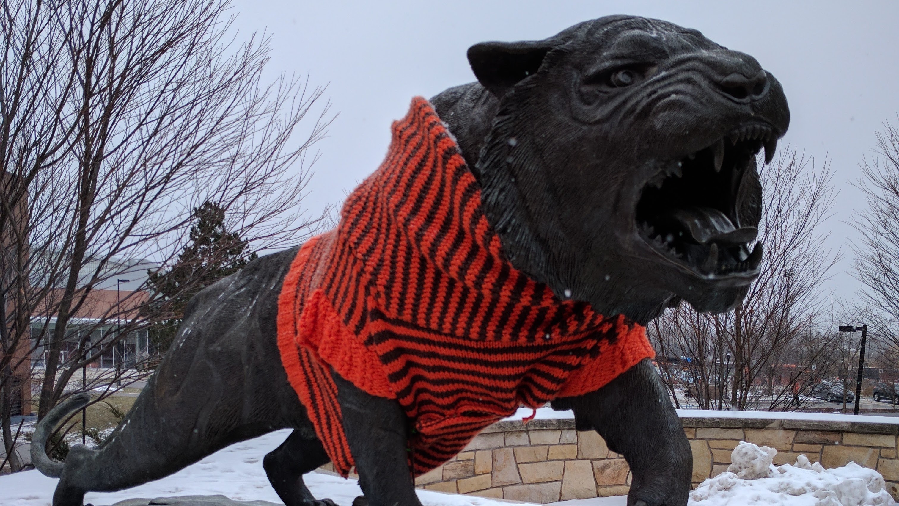 Rochester Institute of Technology tiger statue with orange and black striped sweater.